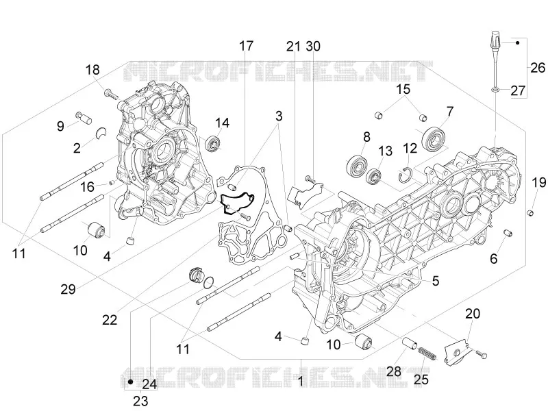 Cárter motor