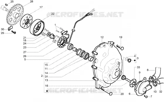 Volante magnetico