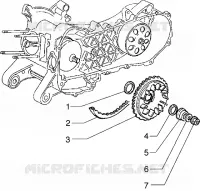 Semipolea motriz