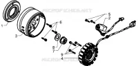 Volante magnetico