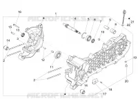 Cárter motor