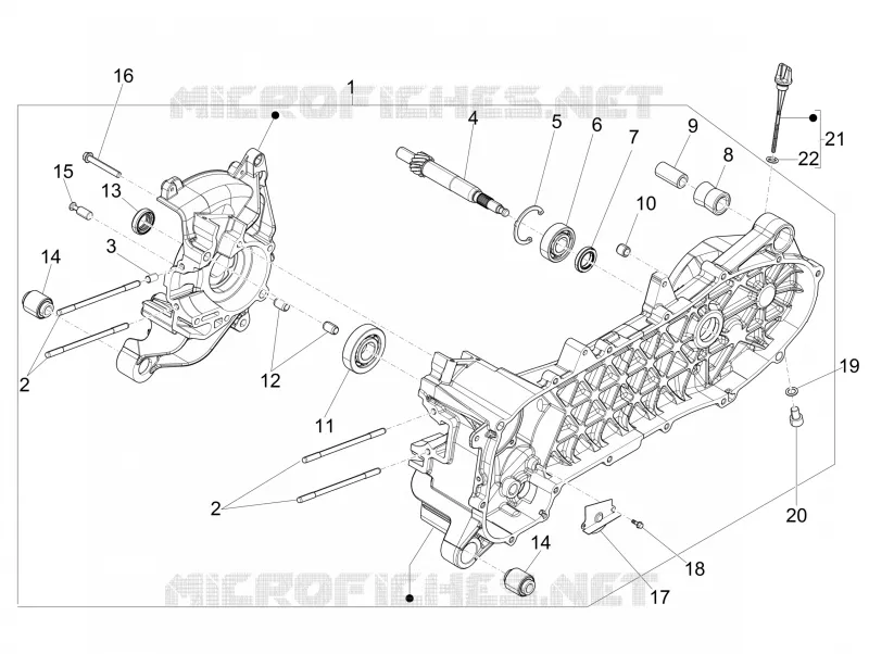 Cárter motor