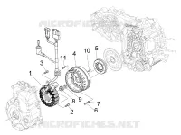 Volante magnetico