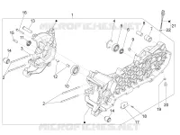 Cárter motor