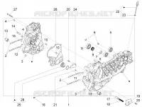 Cárter motor