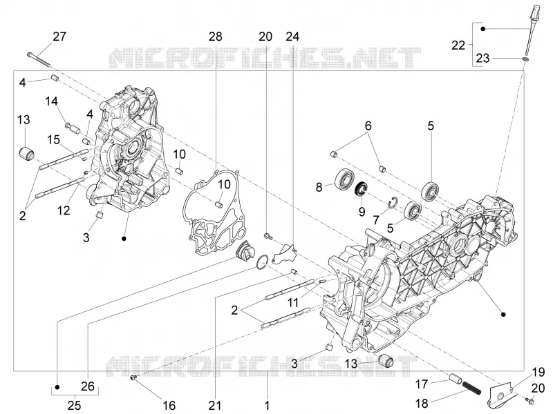 Cárter motor