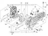 Cárter motor