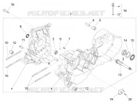 Cárter motor