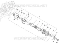 Polea conducida