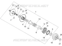 Polea conducida