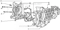 Cárter motor