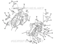 Cárter