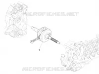 CIGUEÑAL