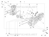 Cárter motor