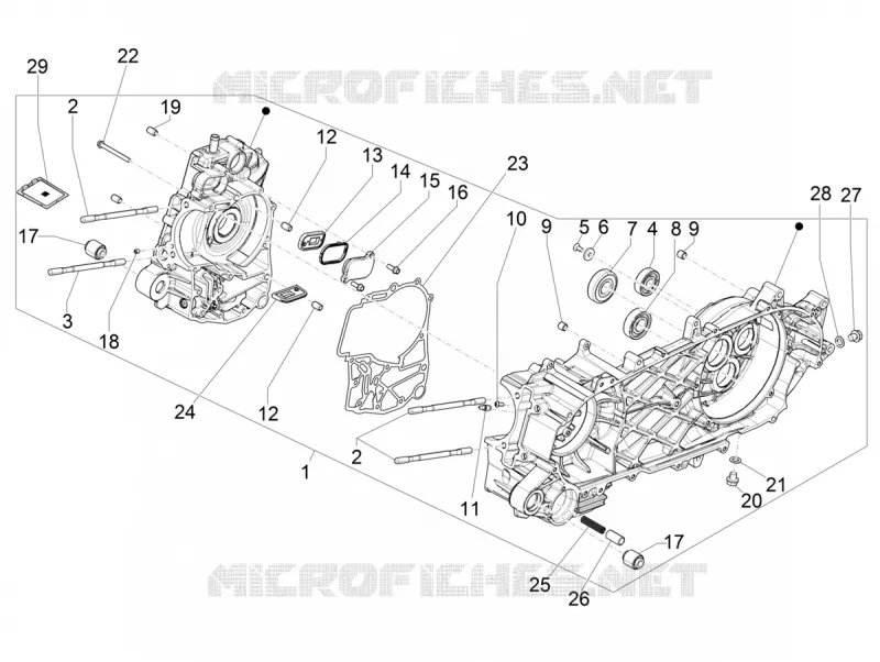 Cárter motor