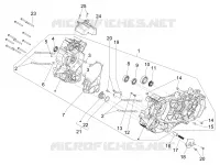 Cárter motor