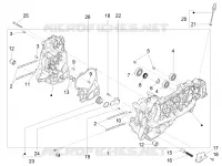 Cárter motor