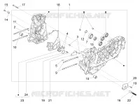 Cárter motor