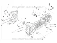 Cárter motor