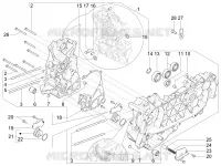 Cárter motor