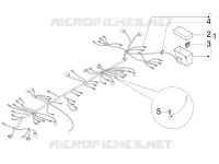 Grupo cables principal